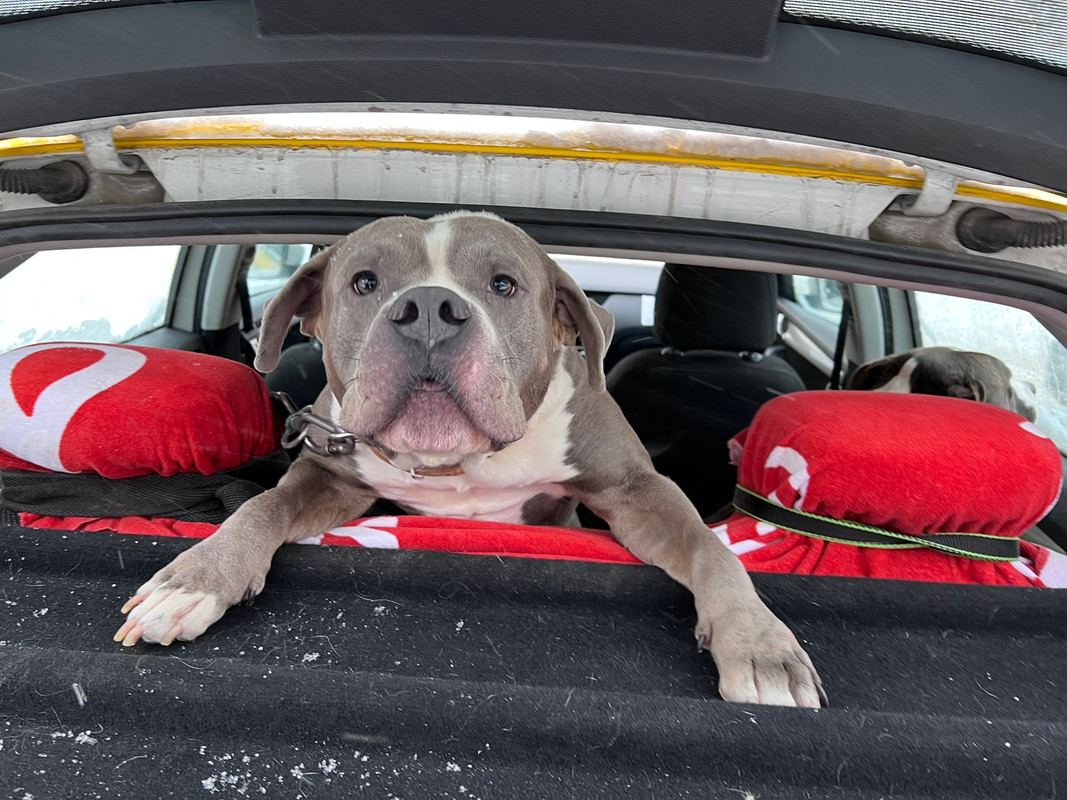 04448DFA-93FE-4222-BA52-DC9472DB5F15