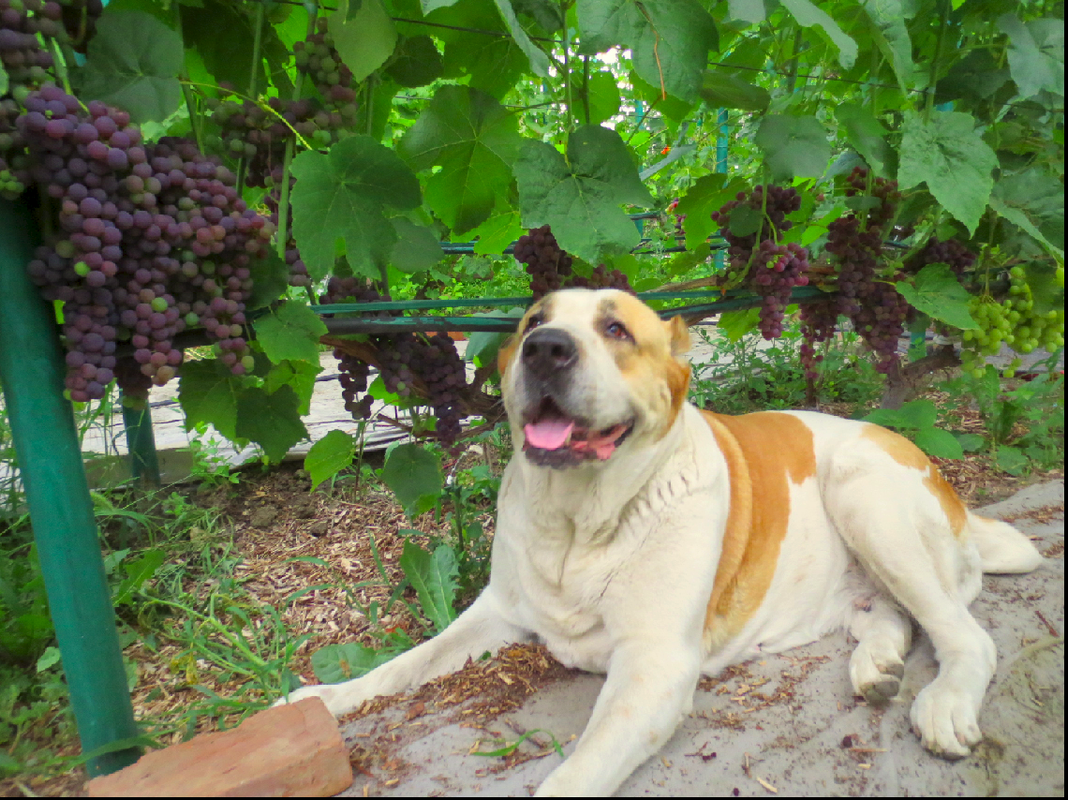 Снимок экрана от 2022-07-25 21-23-39