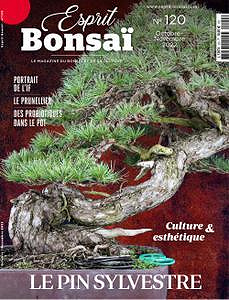 632ec8642b2c3445308265-esprit-bonsai-octobre-novembre-2022.jpg