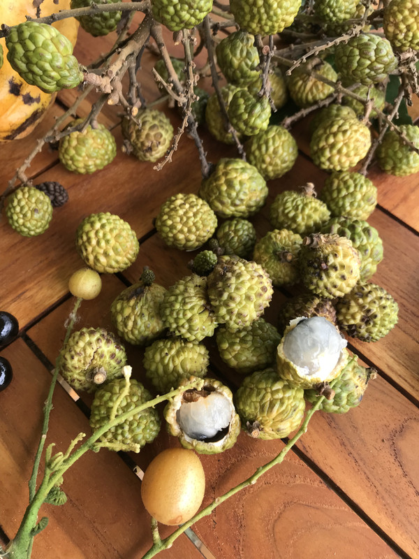 2367DB85-C4CC-4EFD-A50A-BDA6393BF4B0