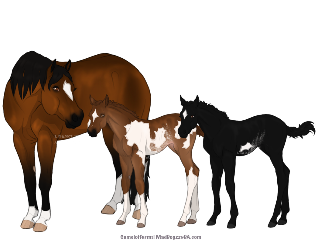 F3BE4380-9B16-4015-A5B7-F97C87D7218A