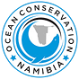 seal rescue, namibia