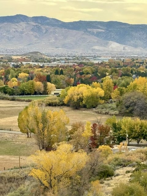 [Image: IMG-7774.jpg]