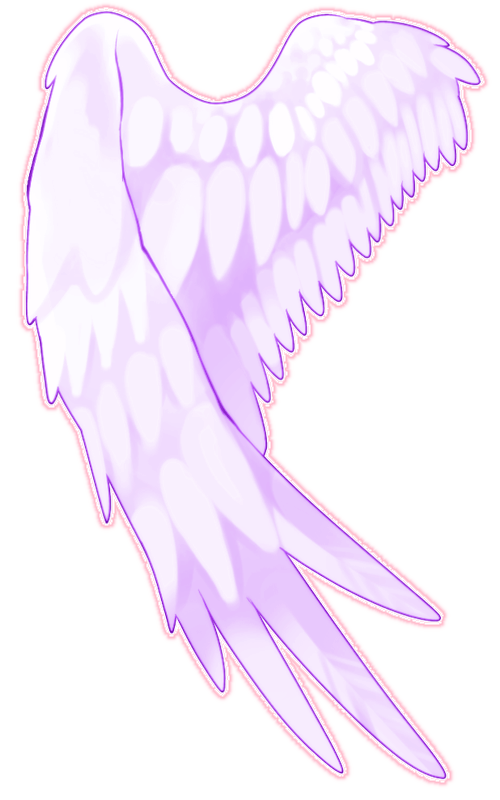  angel wings