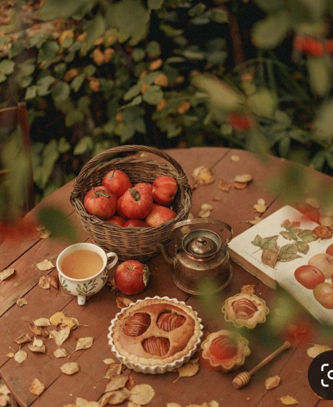 Screenshot_20231117_215805_Pinterest