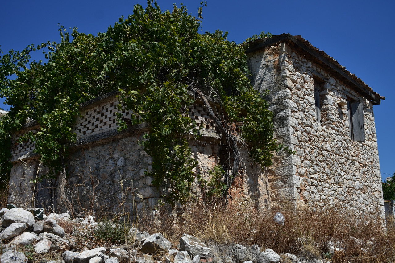 Αραχναίο (5)