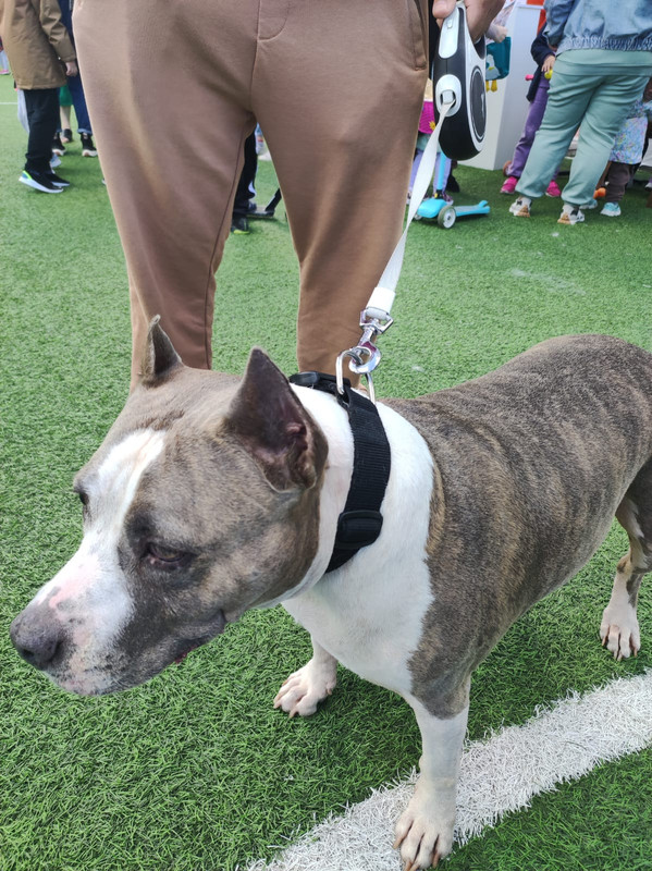 416A628C-4018-4470-8C59-BCA0A909E7F4