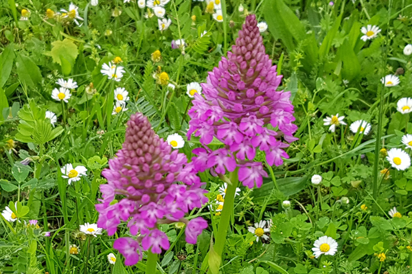 [Image: y20200506-120021.jpg]