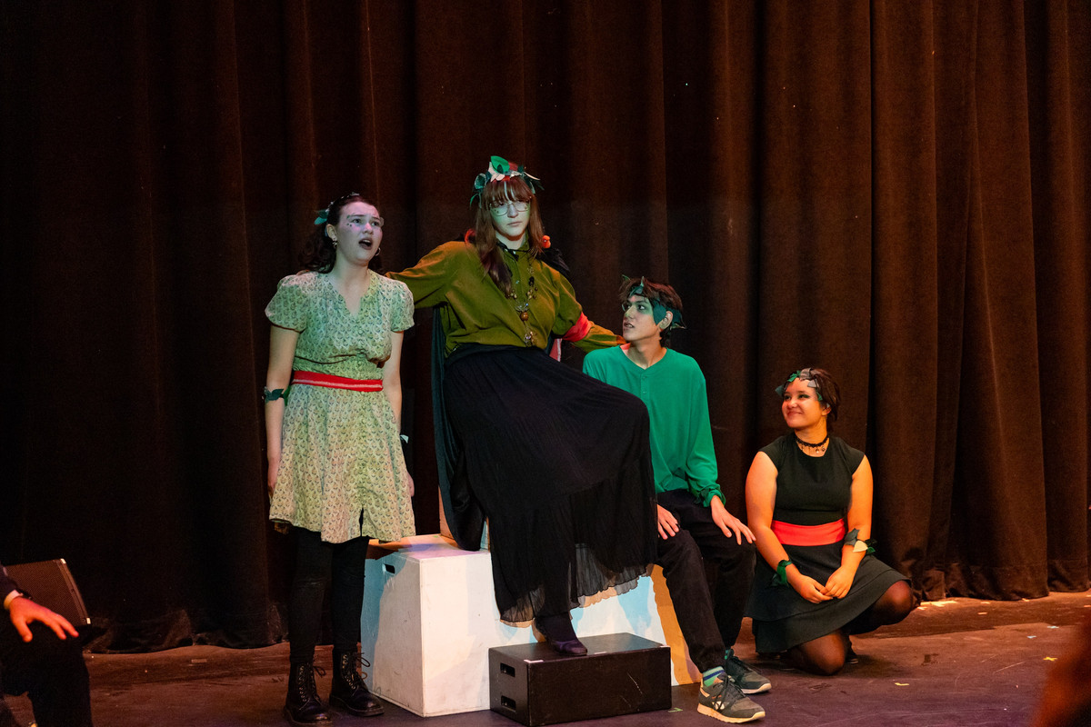 Photo from performance of A Trage-tree