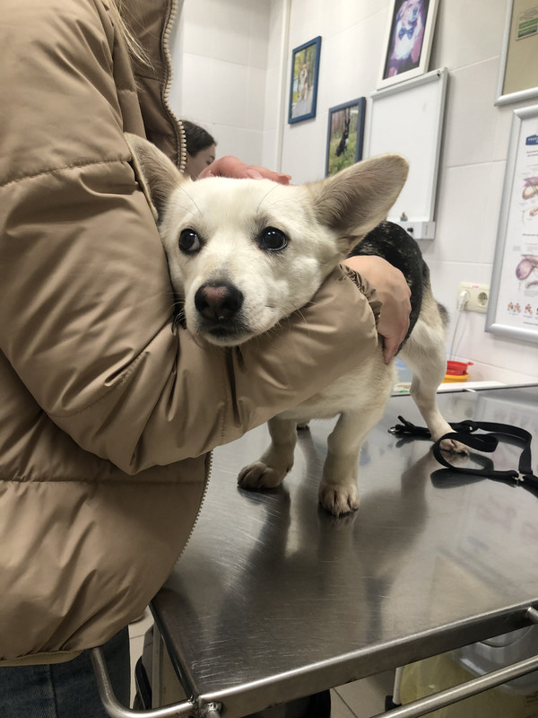 0EF6D466-A370-4116-A6D4-AD8CB32FA81F