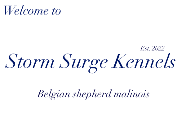 7C1F6D2A-7DD0-406C-872C-C73B1C7005C4