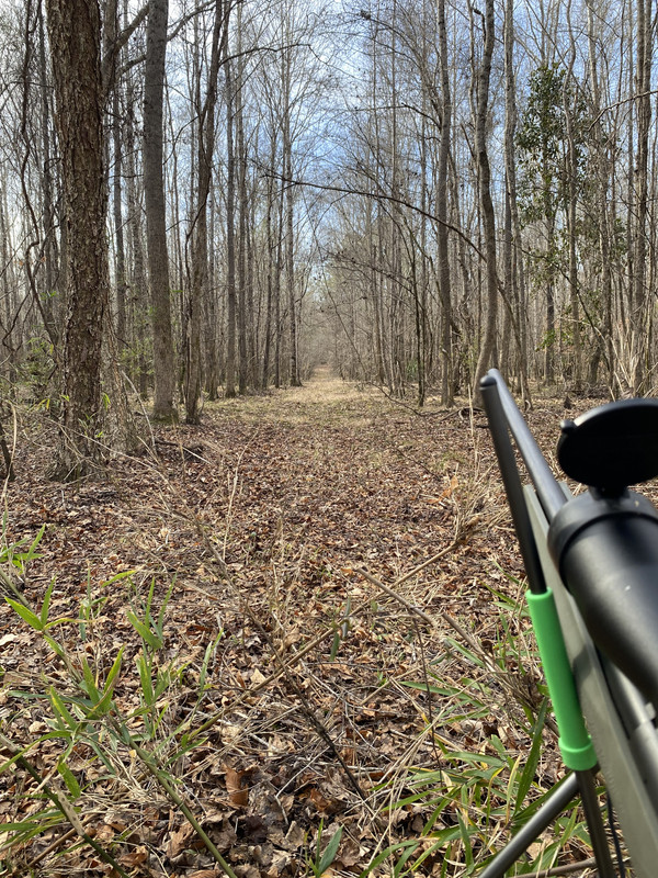 69585168345__A213CF02-EC44-4134-9E32-E76C27F4E183