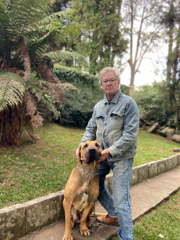 Ilustração de mapa astral