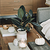 Home-Decor-Alt-1