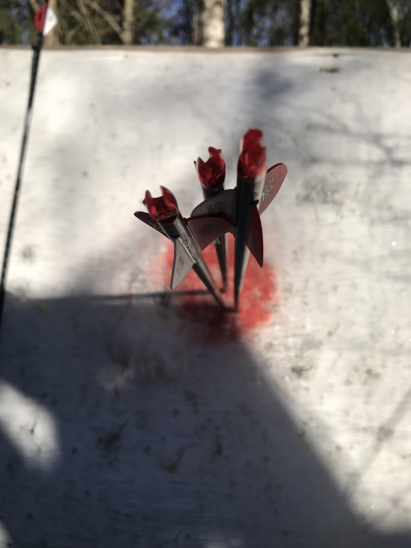 4432FD82-967D-4F08-839D-494AC6199072