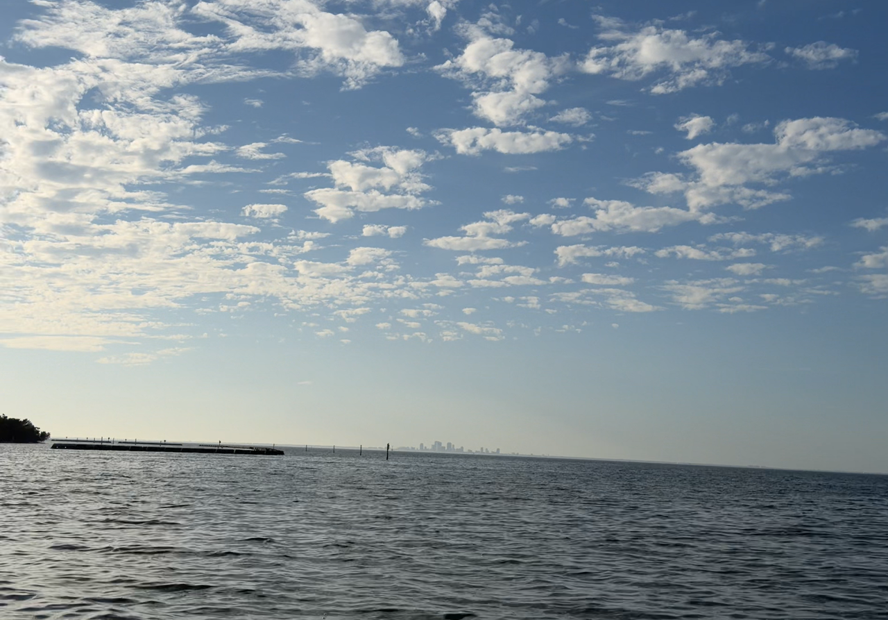 [Image: Tampa-Bay-From-The-E-G-Simmons-Conservation-Park6.png]