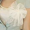 Stock-3472