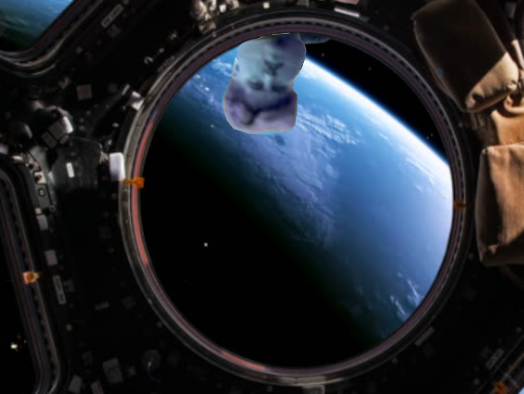 1drachenaut.png