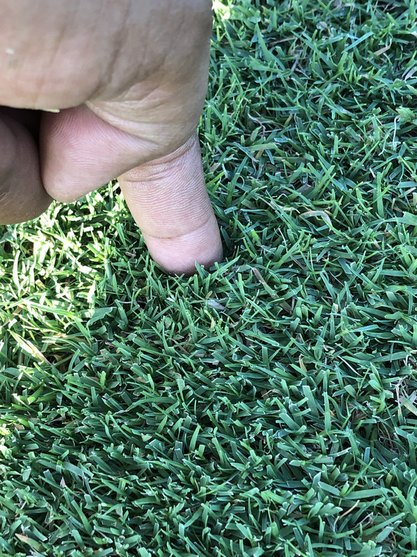 19946D99-5731-4FBA-9A6C-FFB7D515EAA5