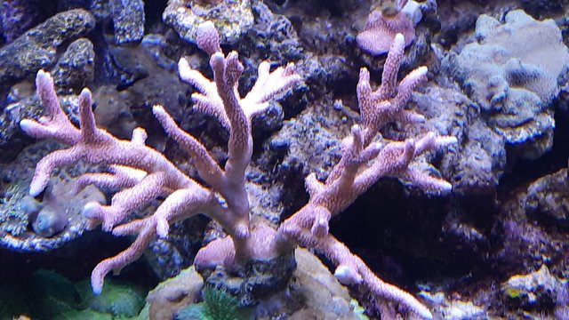 WhatsApp Image 2021-02-19 at 12.49.27 (1)