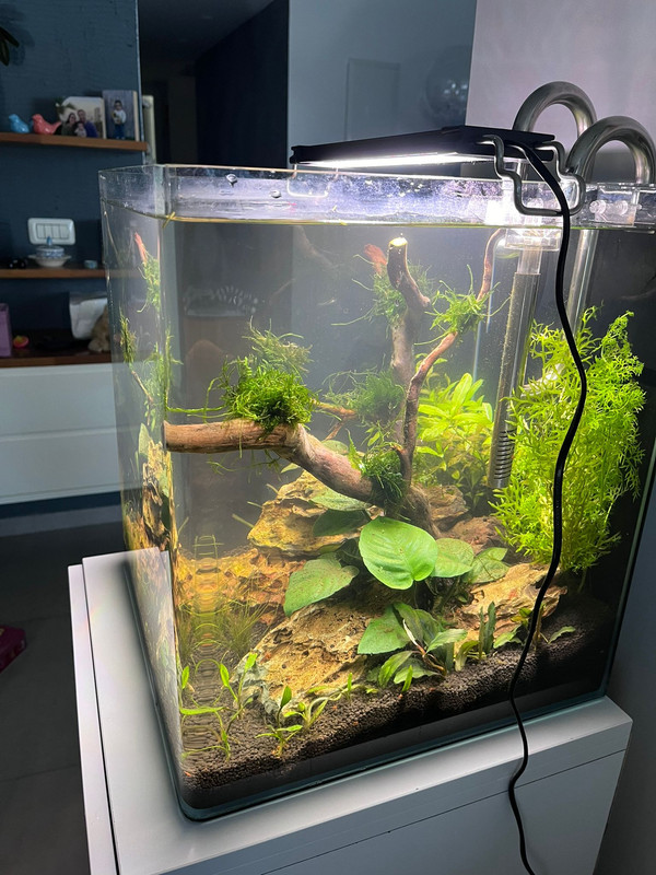 WhatsApp Image 2024-06-14 at 13.17.26 (1)