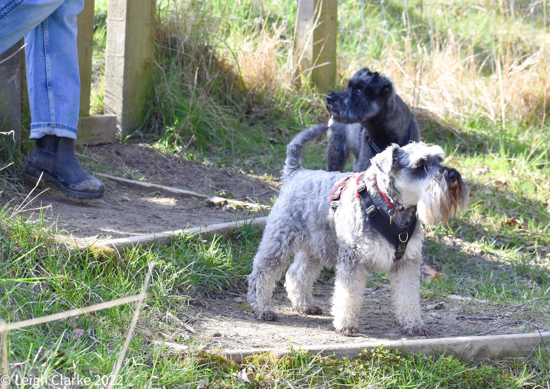 44B52EE9-0A3E-42D3-99CB-1F324C8AA0D3