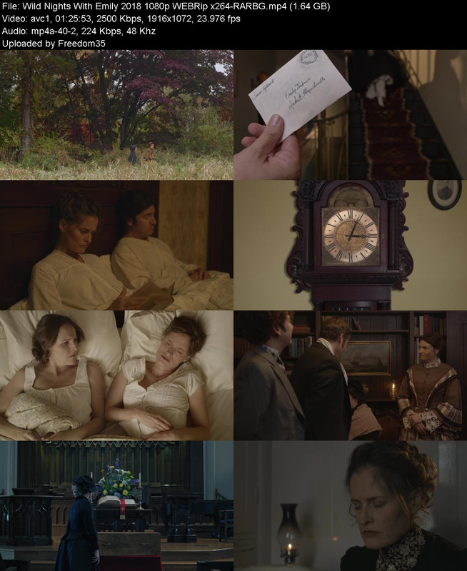 Wild-Nights-With-Emily-2018-1080p-WEBRip