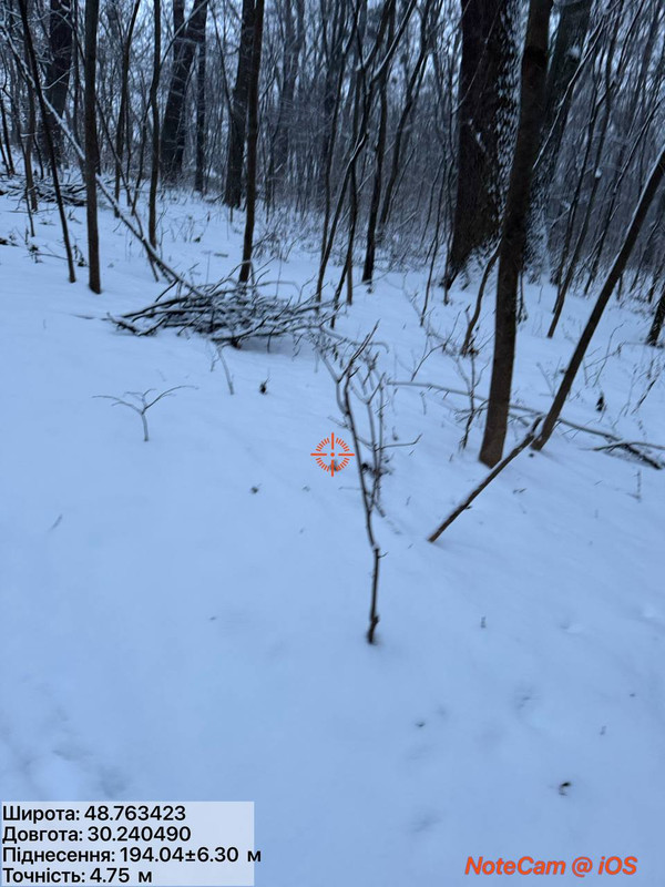 photo 18 2026 01 04 06 58 08