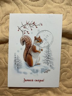 https://i.postimg.cc/7LnQJdzR/IMG-1530.jpg