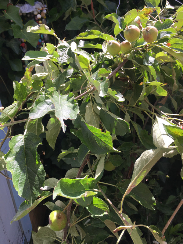 D2AF5B88-A133-4219-8F42-704B91D8998F