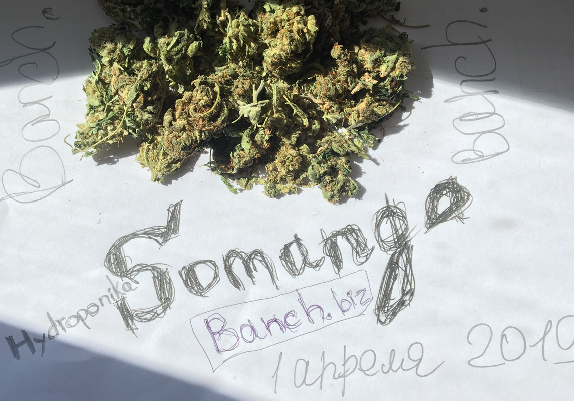 6D498B63-7C52-4087-AA04-4D4124BDFAC0