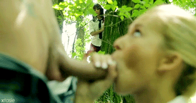 11850811.gif