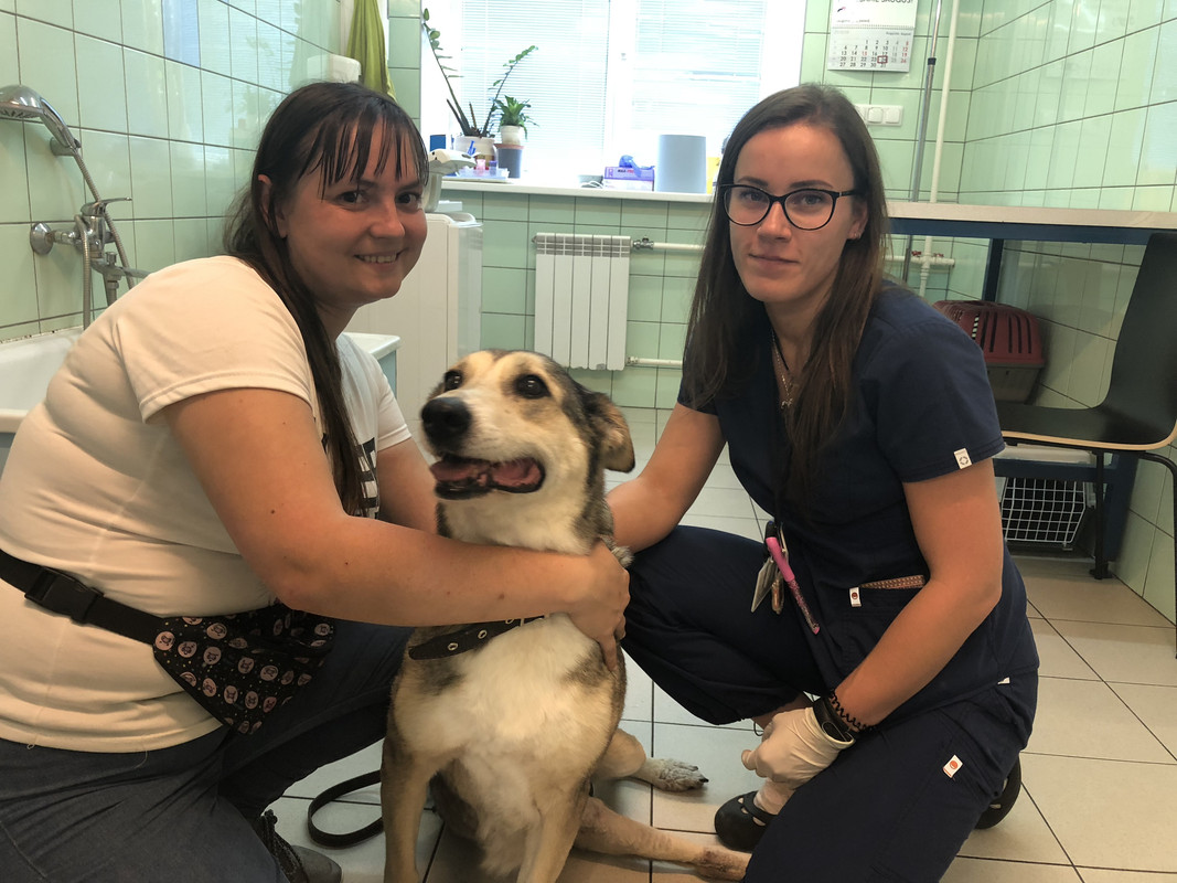 40F2D333-8B2C-4CAA-B33F-EEF07E71D22B