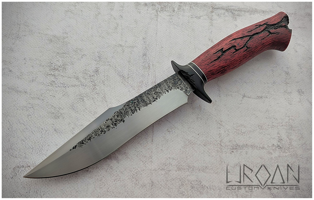 PXL 20260226 114610874