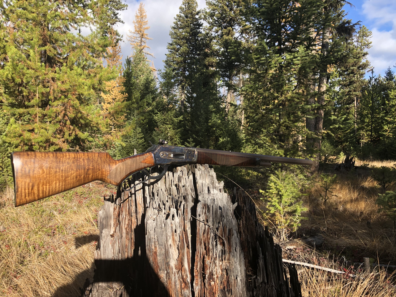 862045DE A2C6 444F BE36 081642B2E515