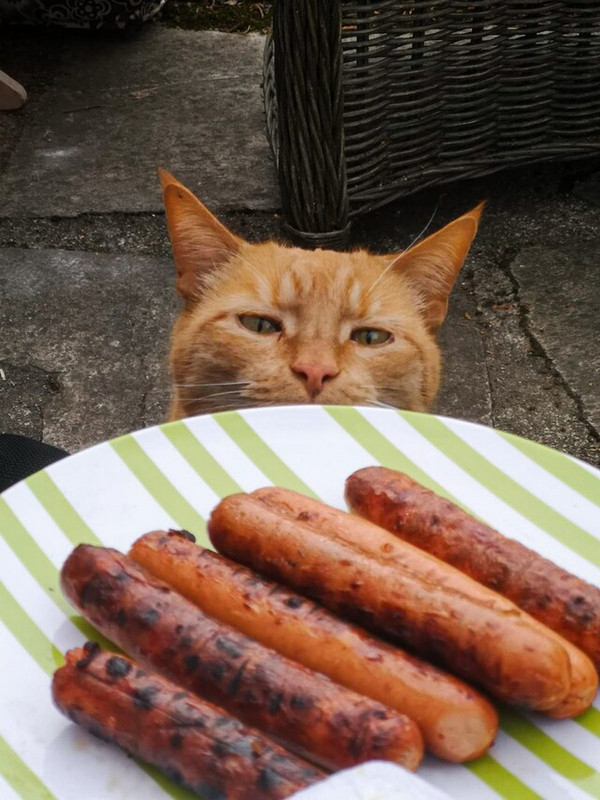 picdump-kw28-2025-034.jpg