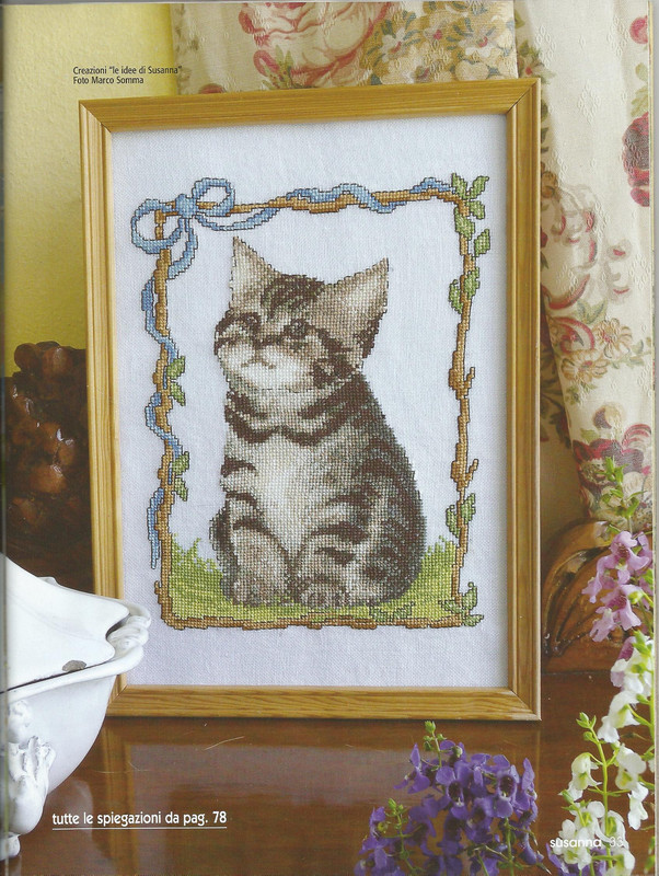 269849-1dd4e-72457337--u94581