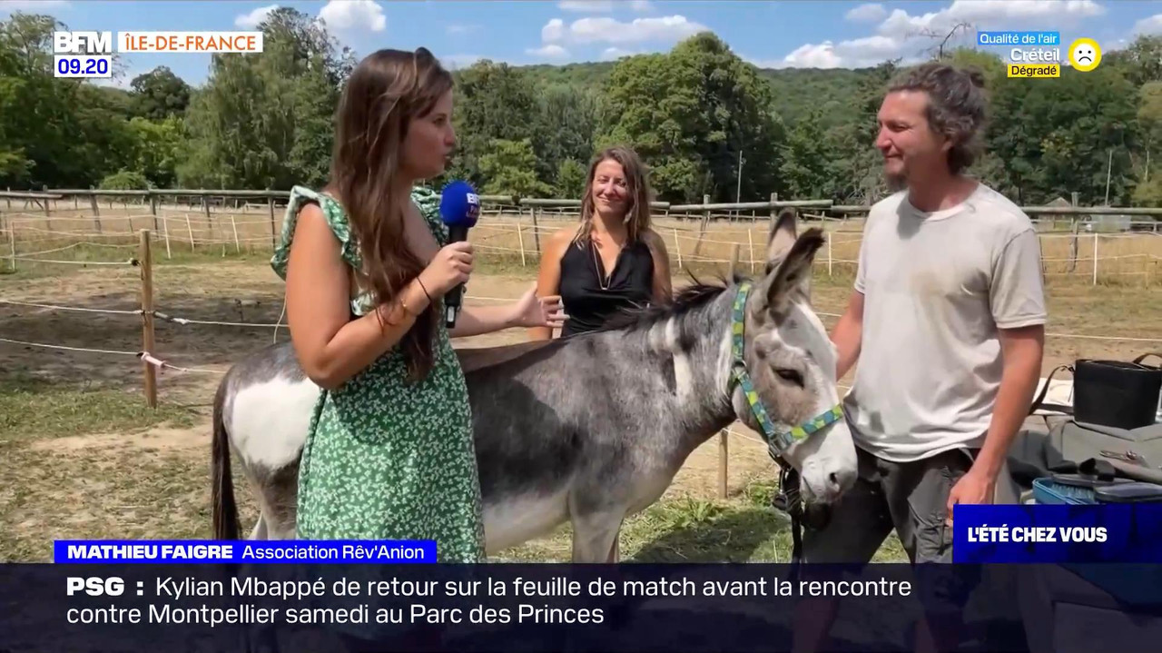 vlc-record-2022-08-13-16h22m53s-08.13 - 07.55.51-1.m4v-.mp4_snapshot_05.38_[2022.08.13_17.05.18]