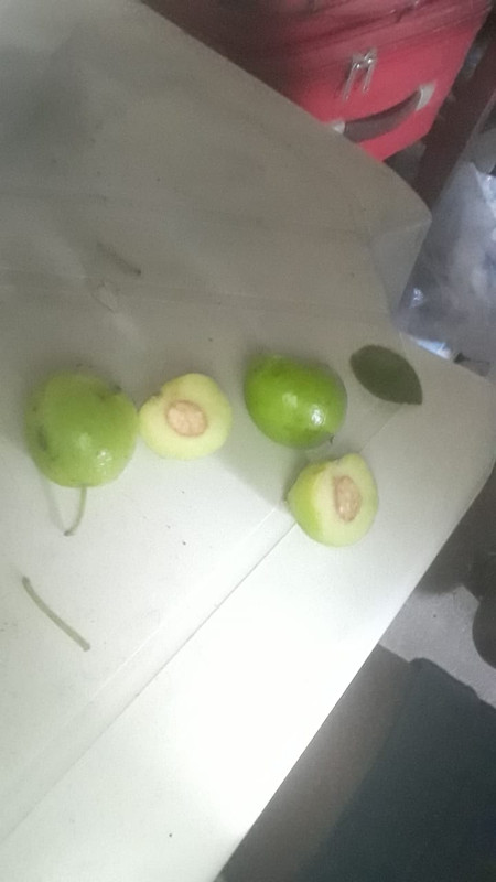 WhatsApp Image 2020-12-20 at 00.10.00 (33)