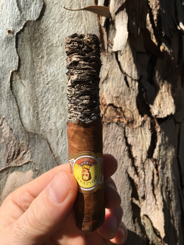 92137011-E3B4-4BAB-B649-A757CC7DC483