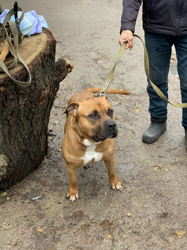 124E38C3-DCC3-4D1B-9249-3B8DA4D72947