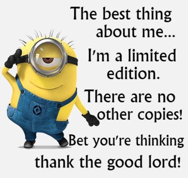 50-Best-Funny-Minion-Quotes-4315-2