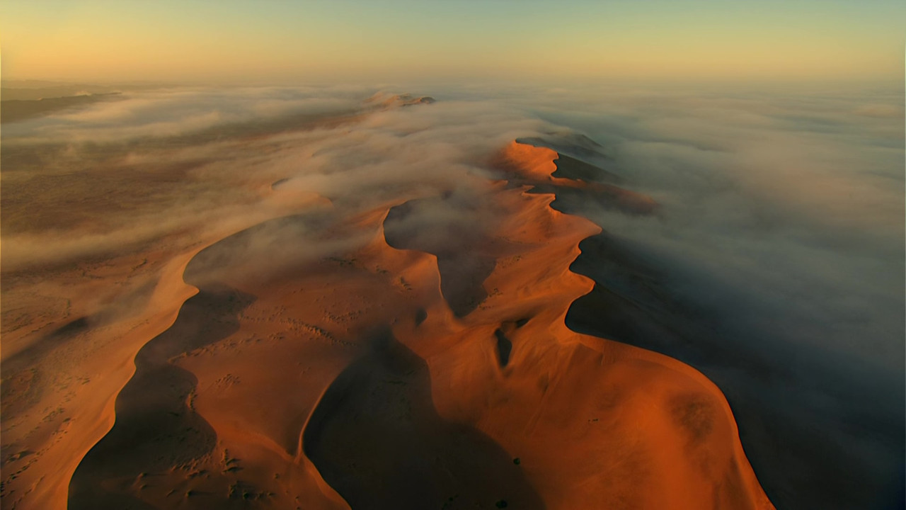 Africa (2001) - S01E01 - Savanna Homecoming (1080p BluRay x265 S