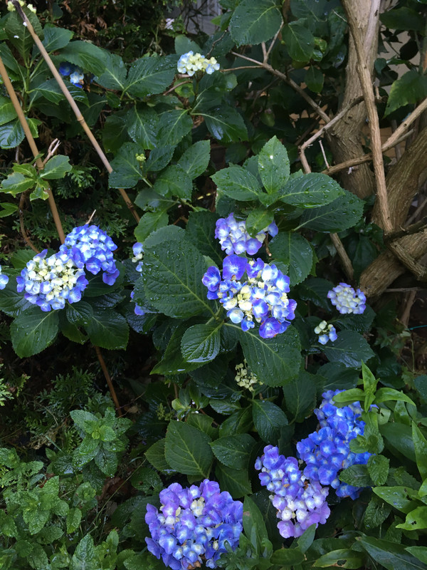 FD7B3180-4337-4B67-A107-DAD449426EC8