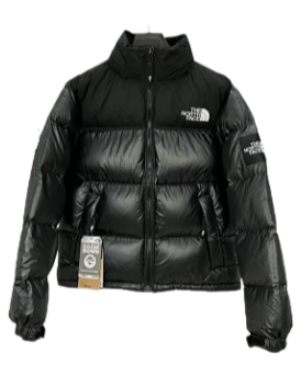 The North Face Down Jacket