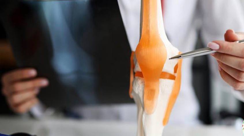 [Изображение: photo-2025-12-15-16-49-19.jpg]