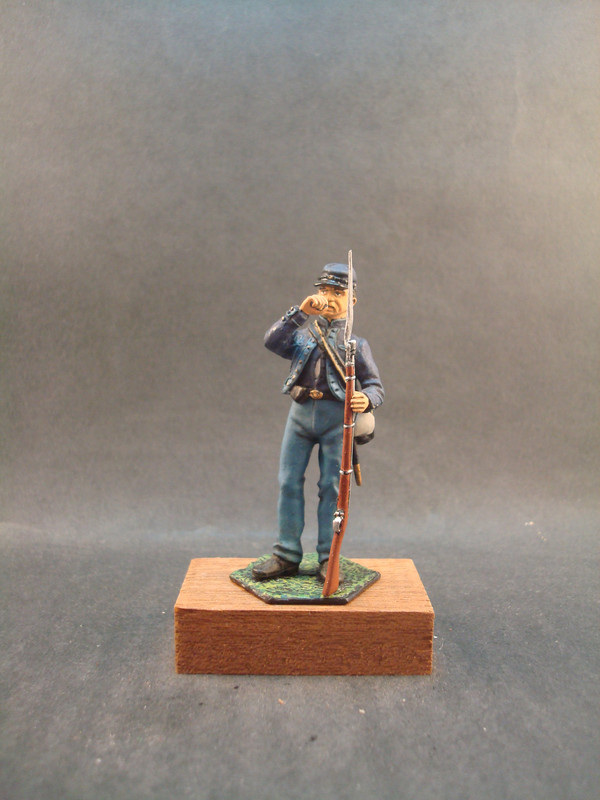 34th Indiana Volunteers, US  1864 (1)