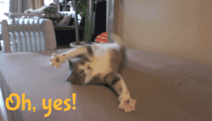 GIF-20250609-091306-784.gif