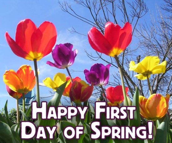 happy-first-day-of-spring