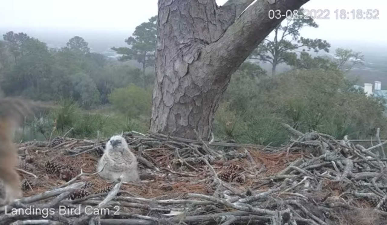 WhatsApp Image 2022-03-09 at 9.51.12 PM (2)